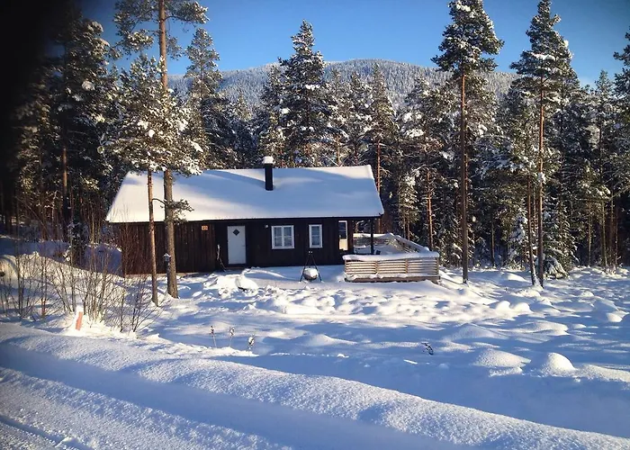 Chalet Domek alpejski Vrådal
